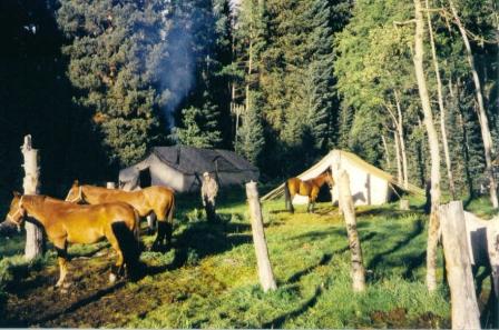 Colorado elk guides deer hunting